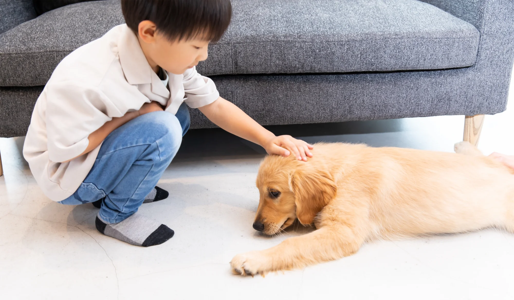 犬をなでる子ども